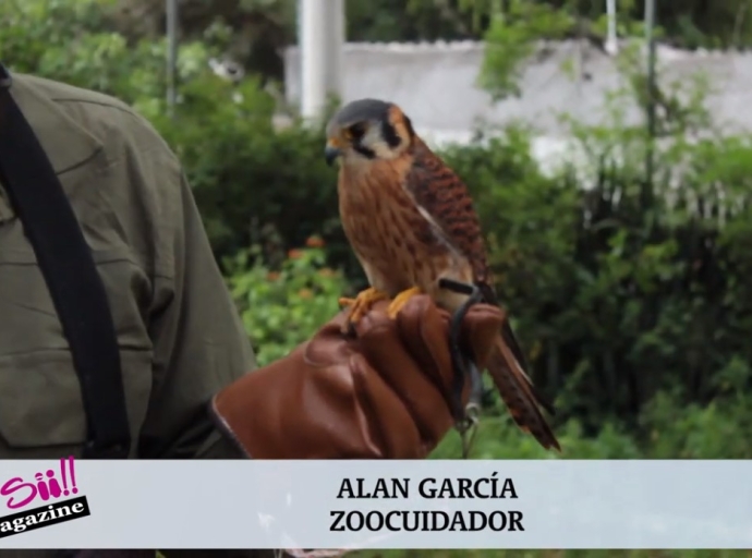 ZOO DE QUITO: CUIDADO Y CONSERVACIÓN ANIMAL