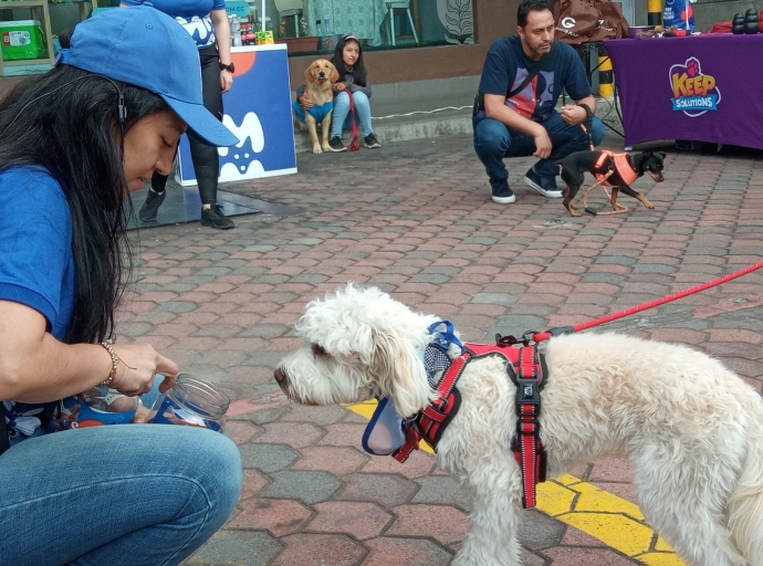 PET CAMP EN FAMILIA