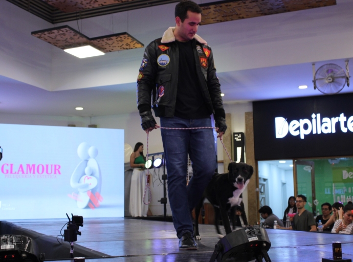 CELEBRACIÓN, MODA Y MASCOTAS