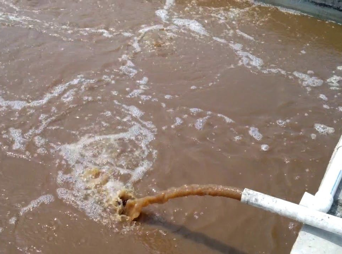 DÍA MUNDIAL DEL AGUA